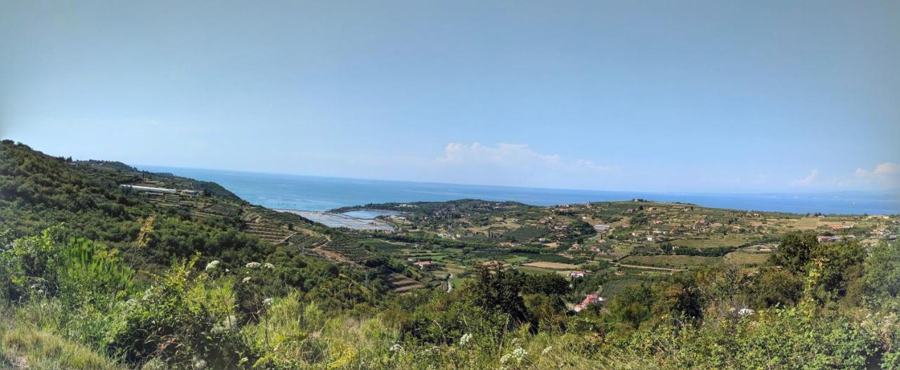 Apartma Ivan Portoroz Luaran gambar